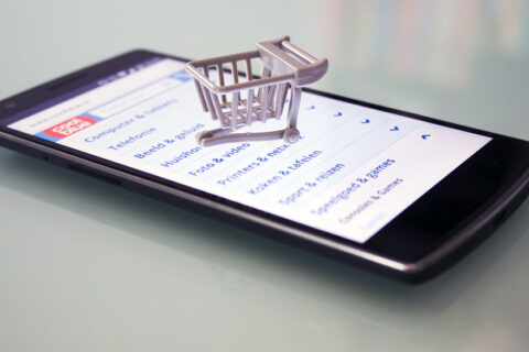 Small business owner reviewing product categories for an online shop